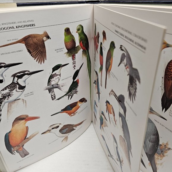 The Illustrated Encyclopedia BIRDS World DR Christopher Perrins History Book 90s - Picture 6 of 16